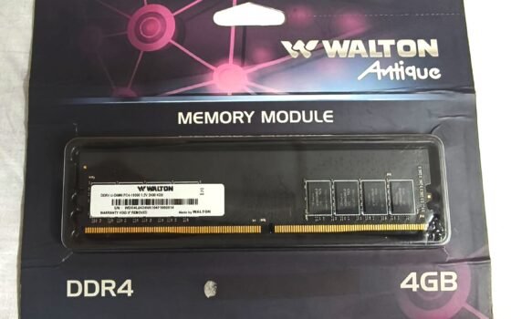 Walton Antique DDR4 4GB 2400MHz Desktop RAM